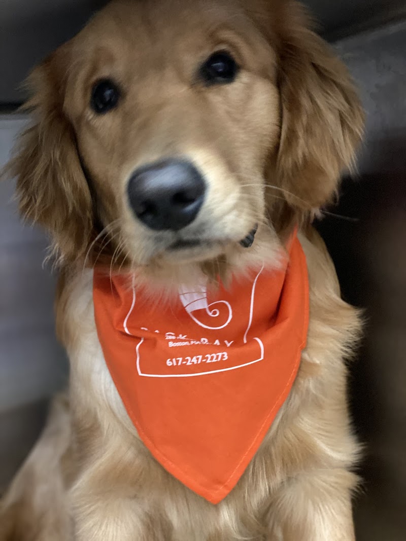 Back Bay Veterinary Clinic