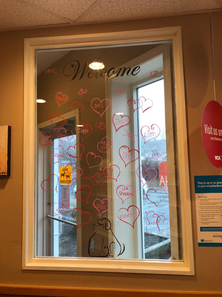 VCA Whitman Animal Hospital