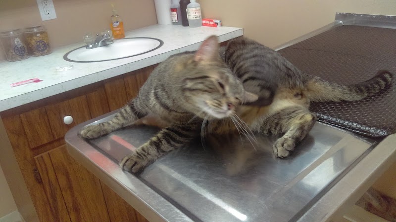 VCA Whitman Animal Hospital