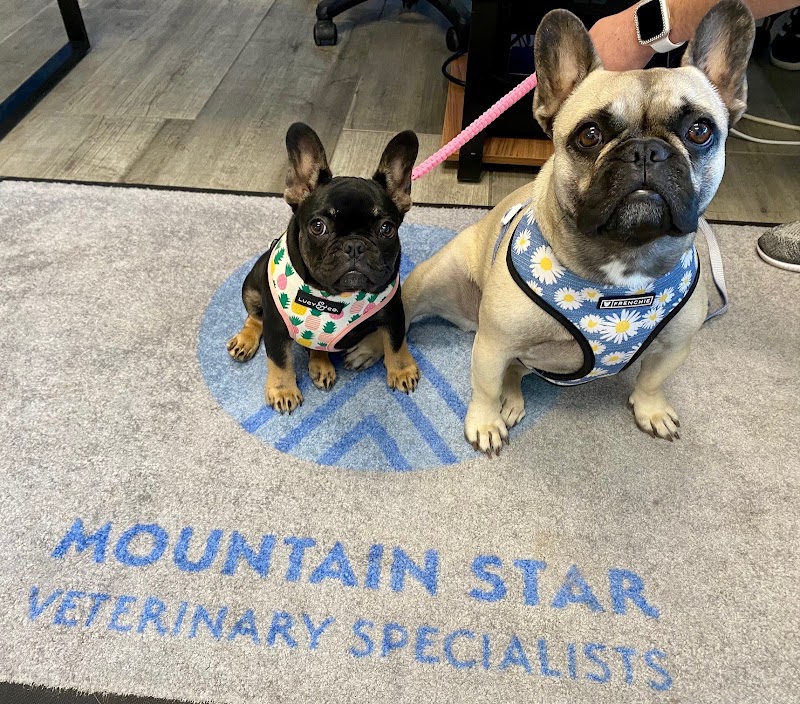 Mountain Star Veterinary Specialists
