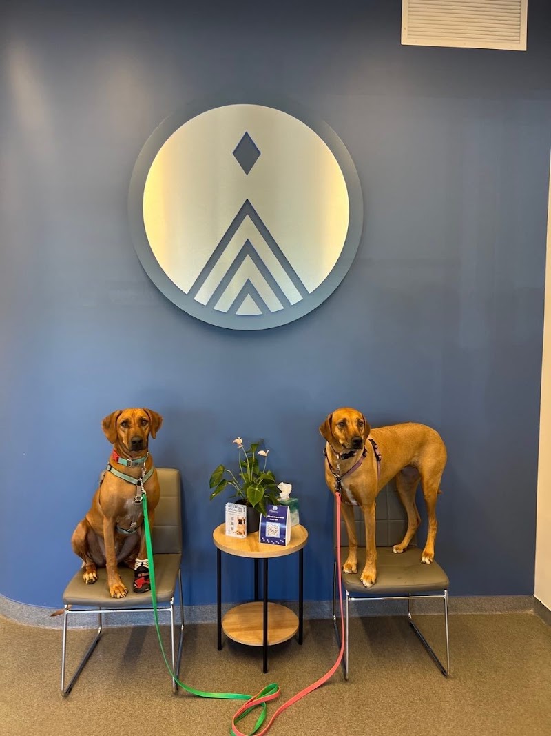 Mountain Star Veterinary Specialists