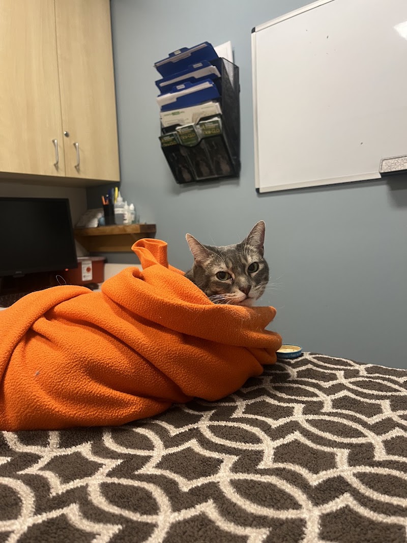 BluePearl Pet Hospital