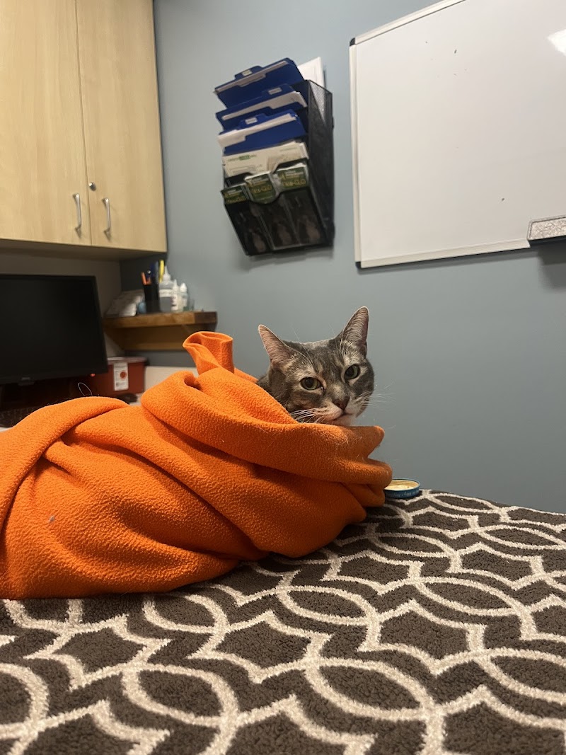 BluePearl Pet Hospital
