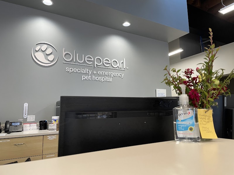 BluePearl Pet Hospital