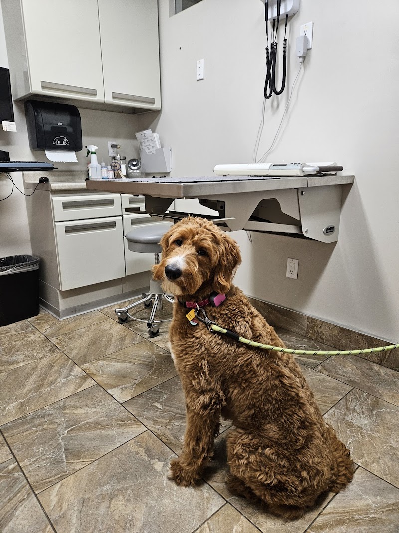 Cabrillo Pet Hospital