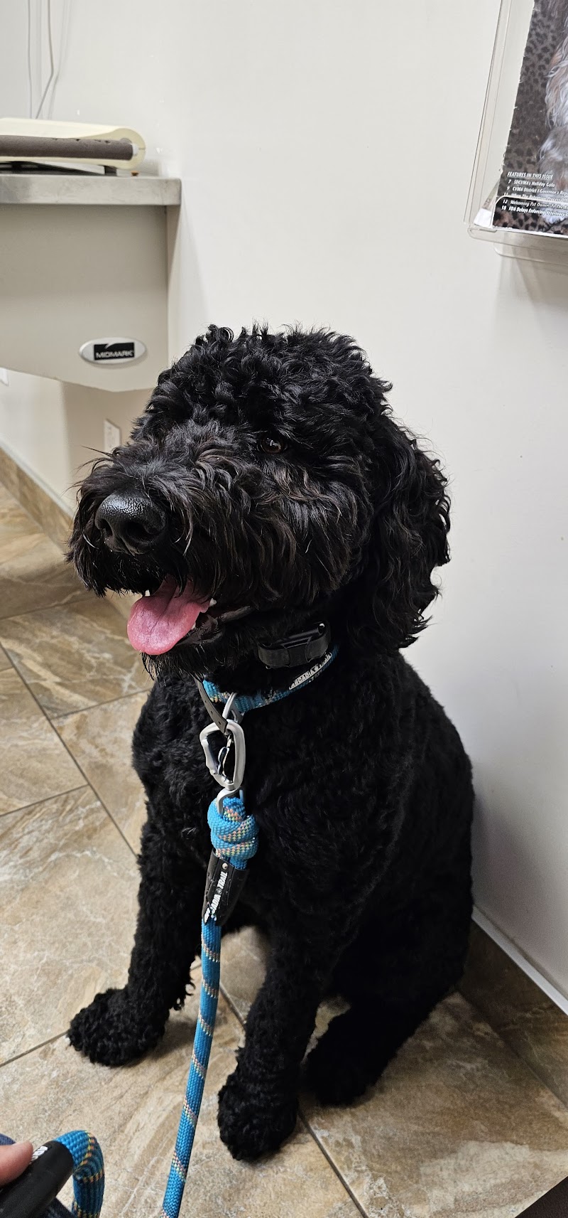 Cabrillo Pet Hospital