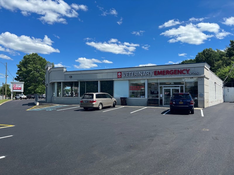 VEG ER for Pets - Nanuet
