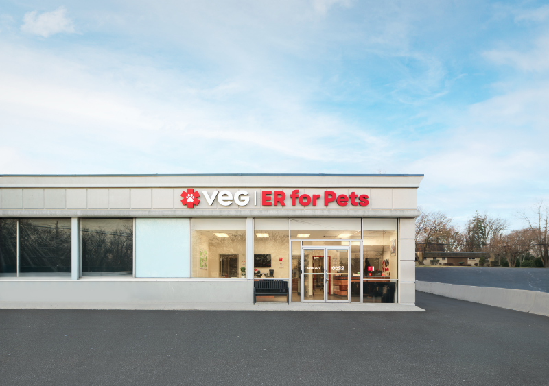 VEG ER for Pets
