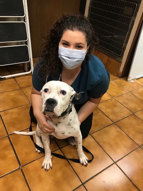 Fullerton Regional Veterinary Hospital