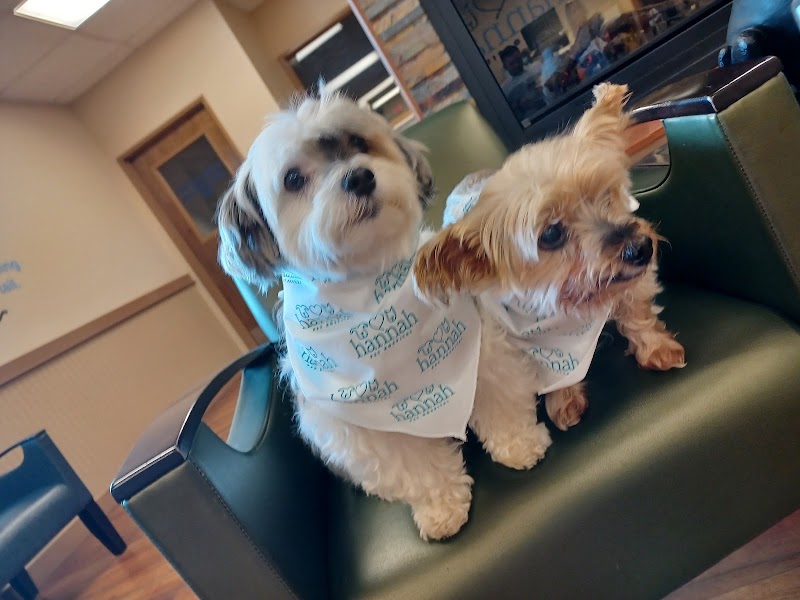 Hannah Pet Hospital and 24/7 Emergency Vet Clinic