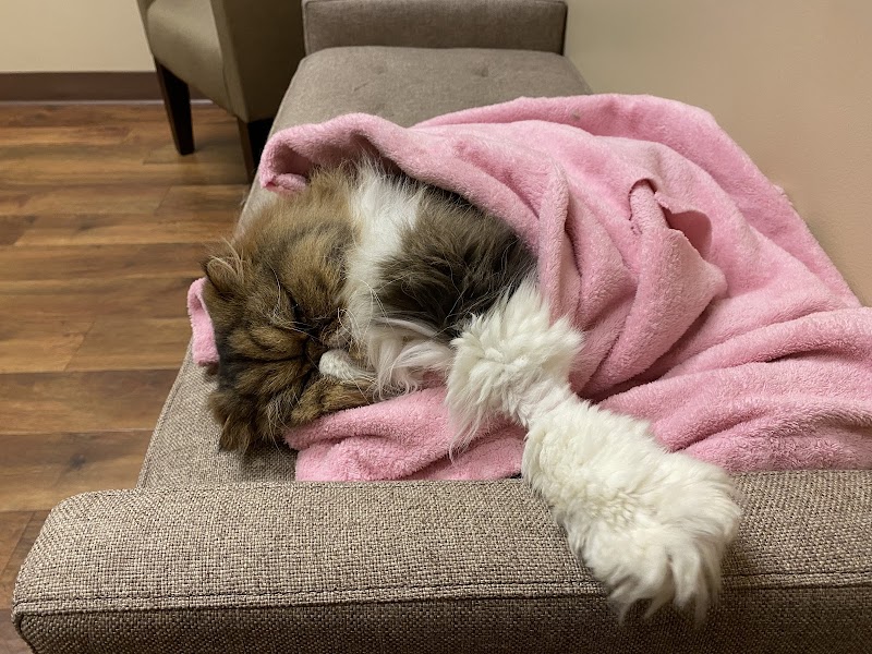 Hannah Pet Hospital and 24/7 Emergency Vet Clinic