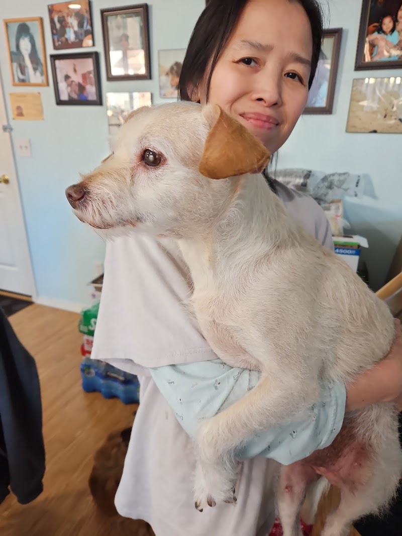 Hannah Pet Hospital and 24/7 Emergency Vet Clinic