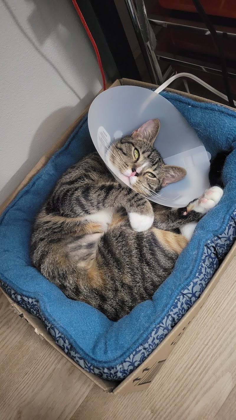 Hannah Pet Hospital and 24/7 Emergency Vet Clinic