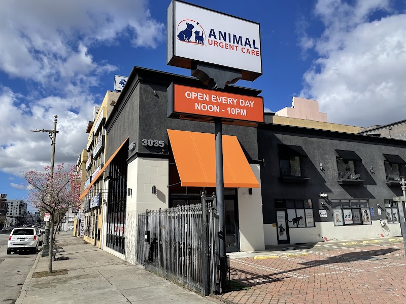 Animal Urgent Care K-Town