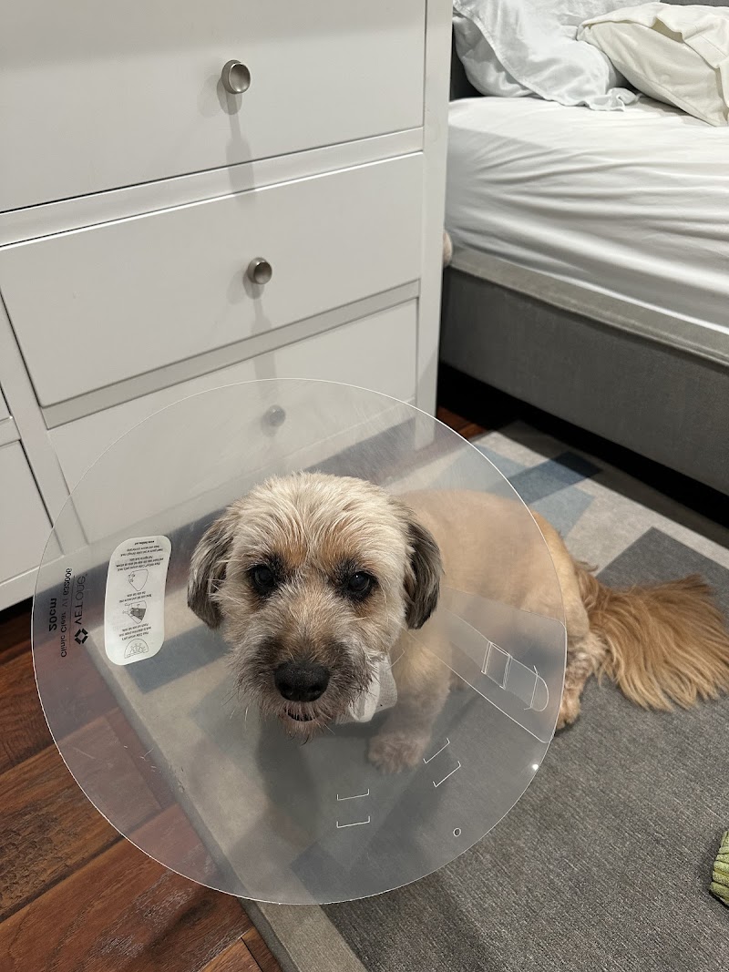 Animal Urgent Care K-Town