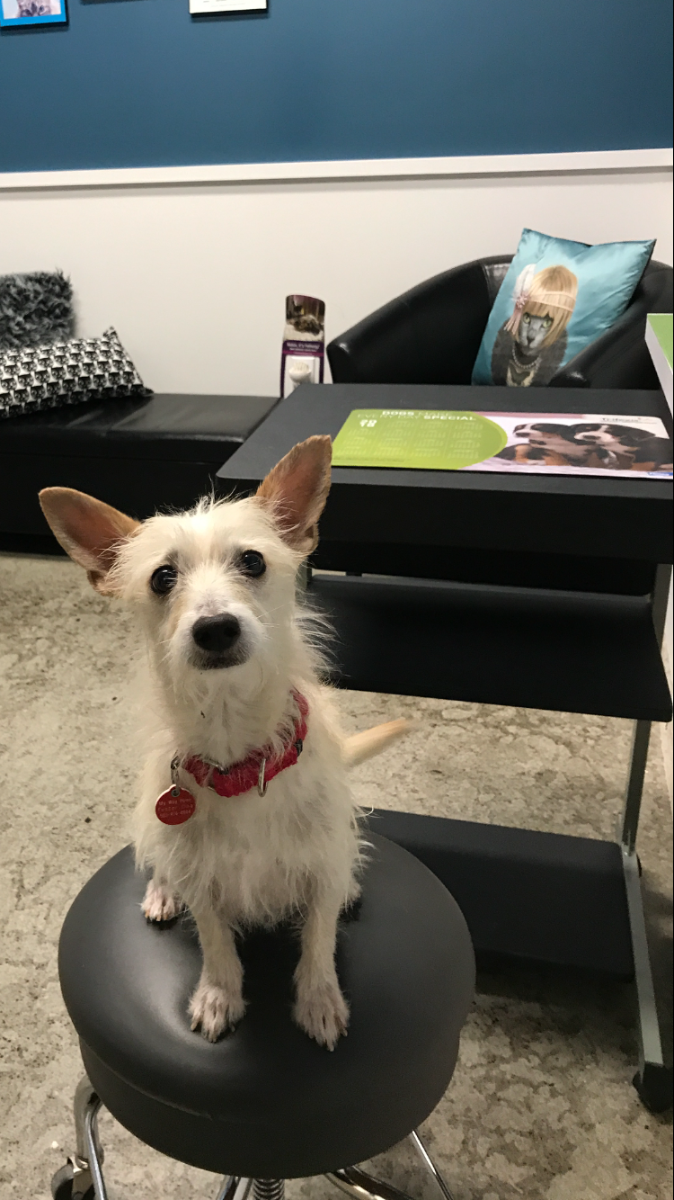 Buckman Veterinary Clinic