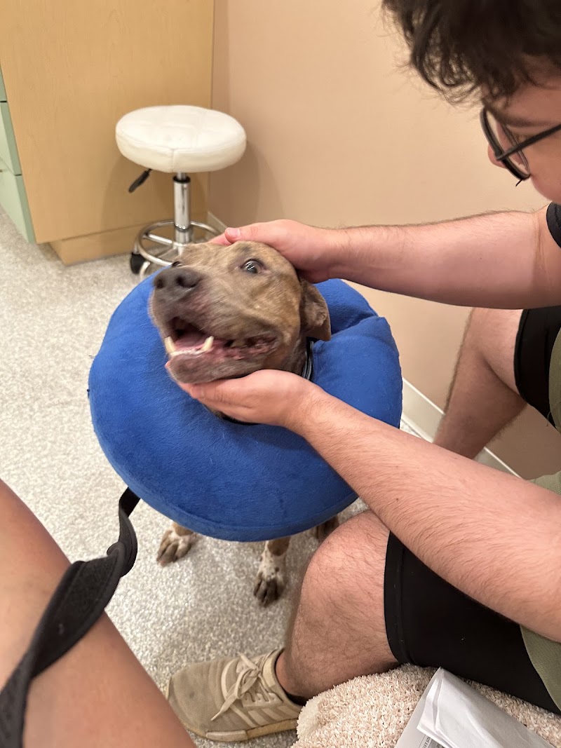 ASAP Vet: Veterinary Urgent Care