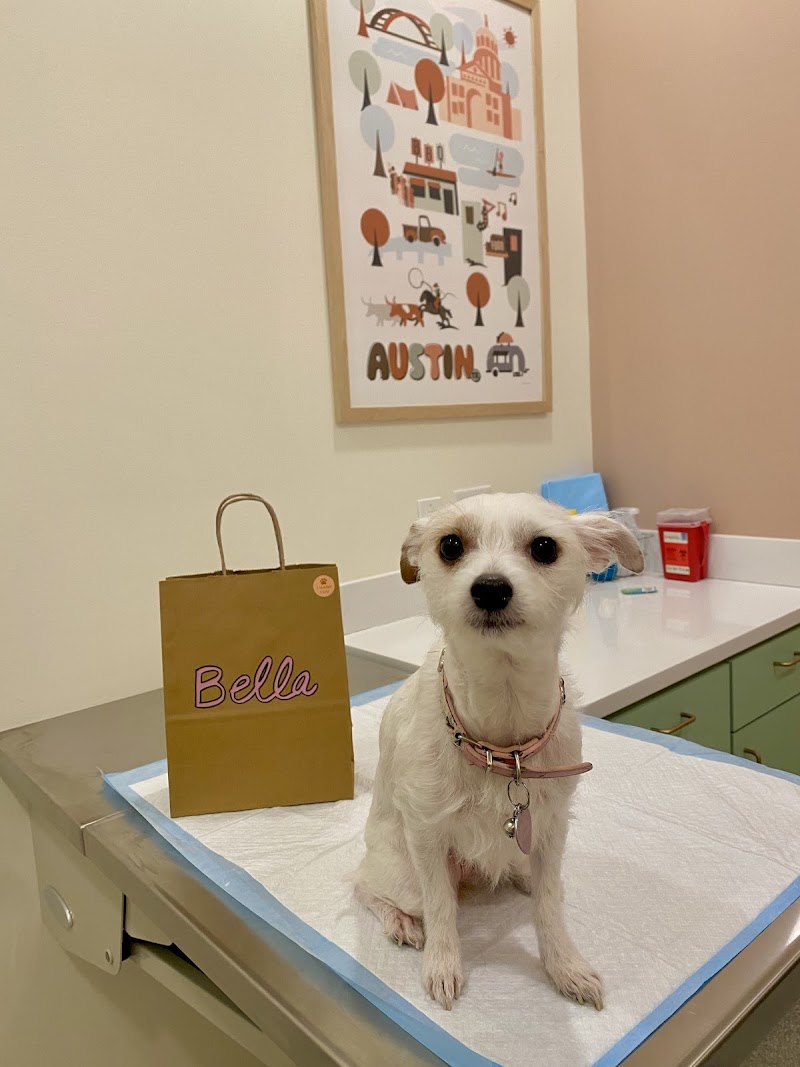 ASAP Vet: Veterinary Urgent Care