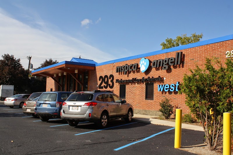 MSPCA-Angell West
