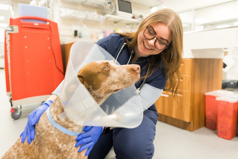 Gulf Coast Veterinary Specialists NASA Parkway