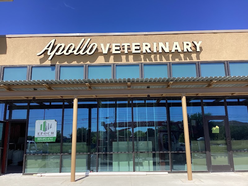 Apollo Veterinary South Austin