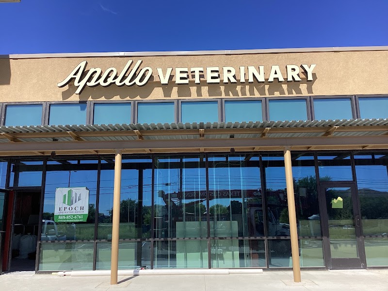 Apollo Veterinary South Austin