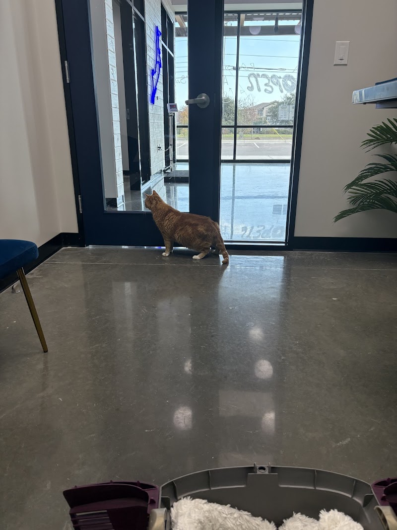 Apollo Veterinary South Austin