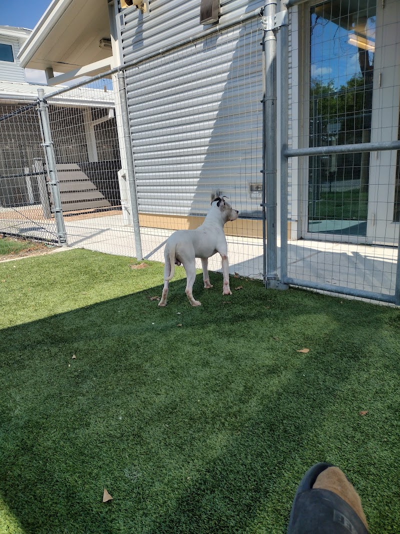 Harris County Pets