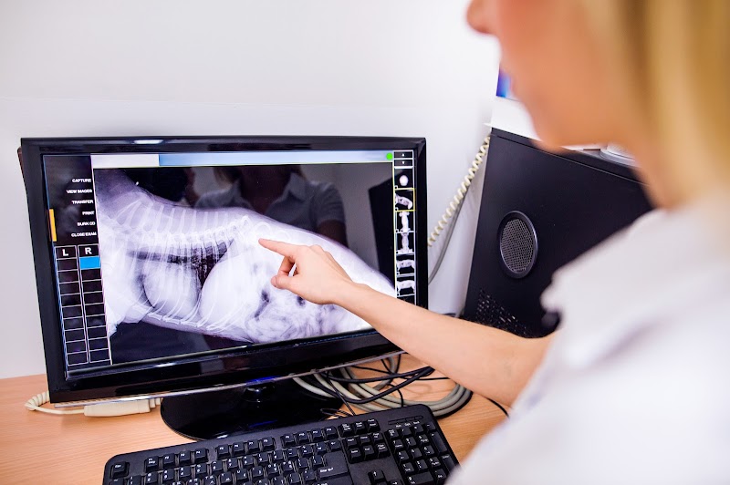 Choice Veterinary Specialists