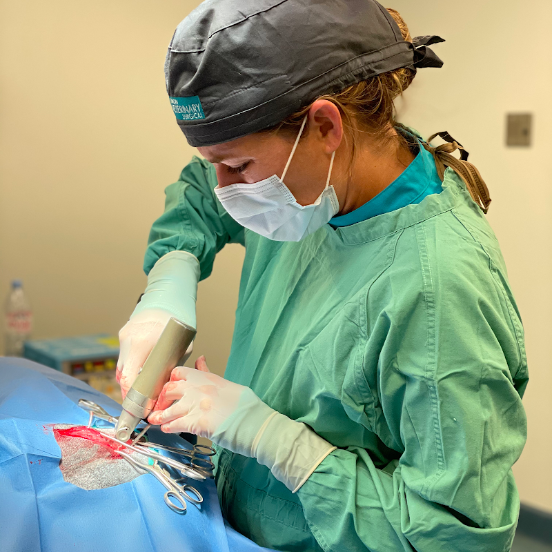 Simon Veterinary Surgical - Sherman Oaks
