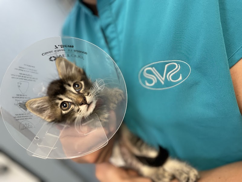 Simon Veterinary Surgical - Sherman Oaks