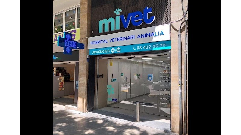 Hospital Veterinari Animalia | MiVet