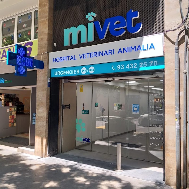 Hospital Veterinari Animalia | MiVet