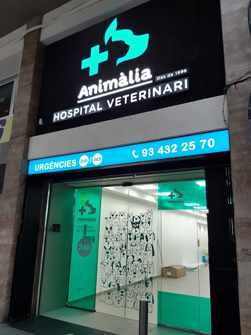 Hospital Veterinari Animalia | MiVet