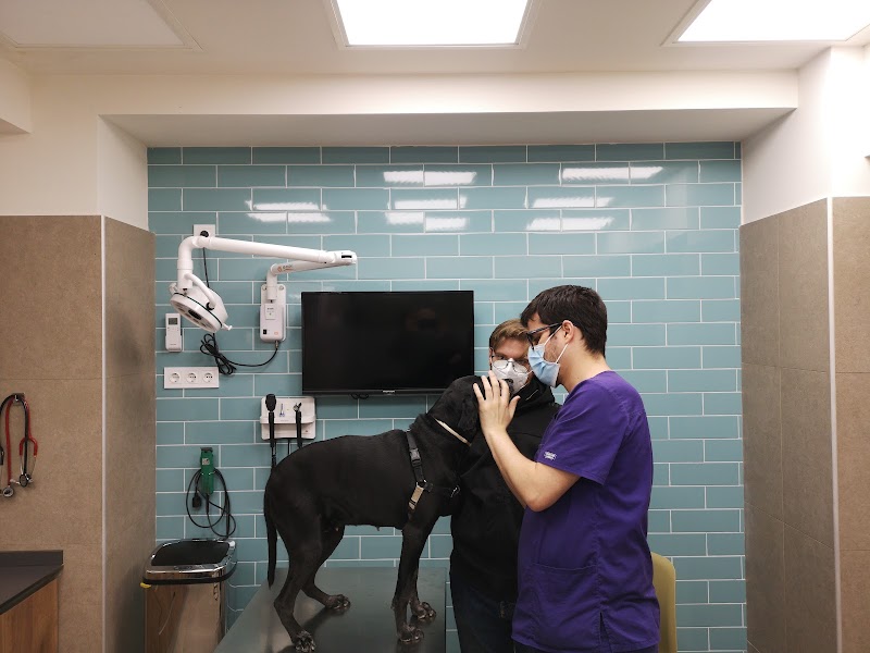 Hospital Veterinari Animalia | MiVet