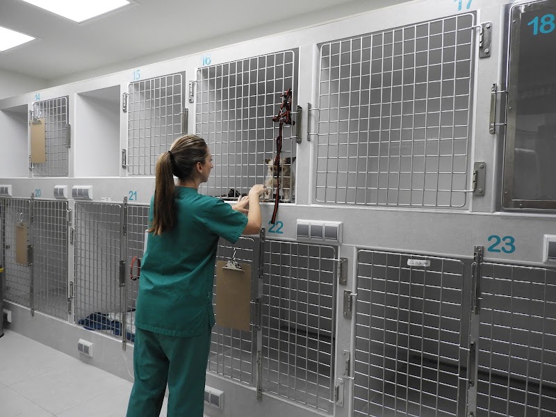 Hospital Veterinari Animalia | MiVet