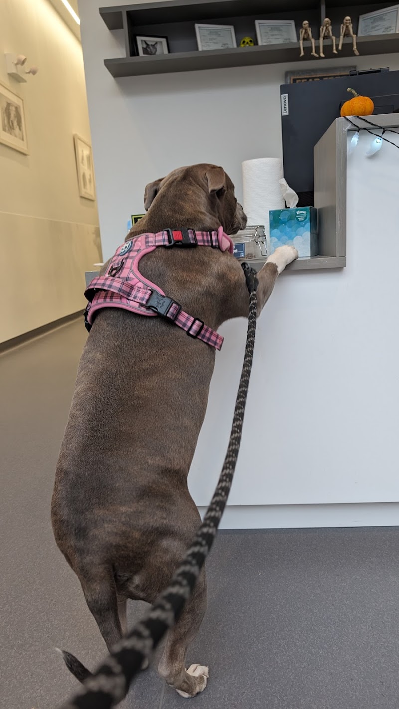 Riverside Veterinary Care on Columbus