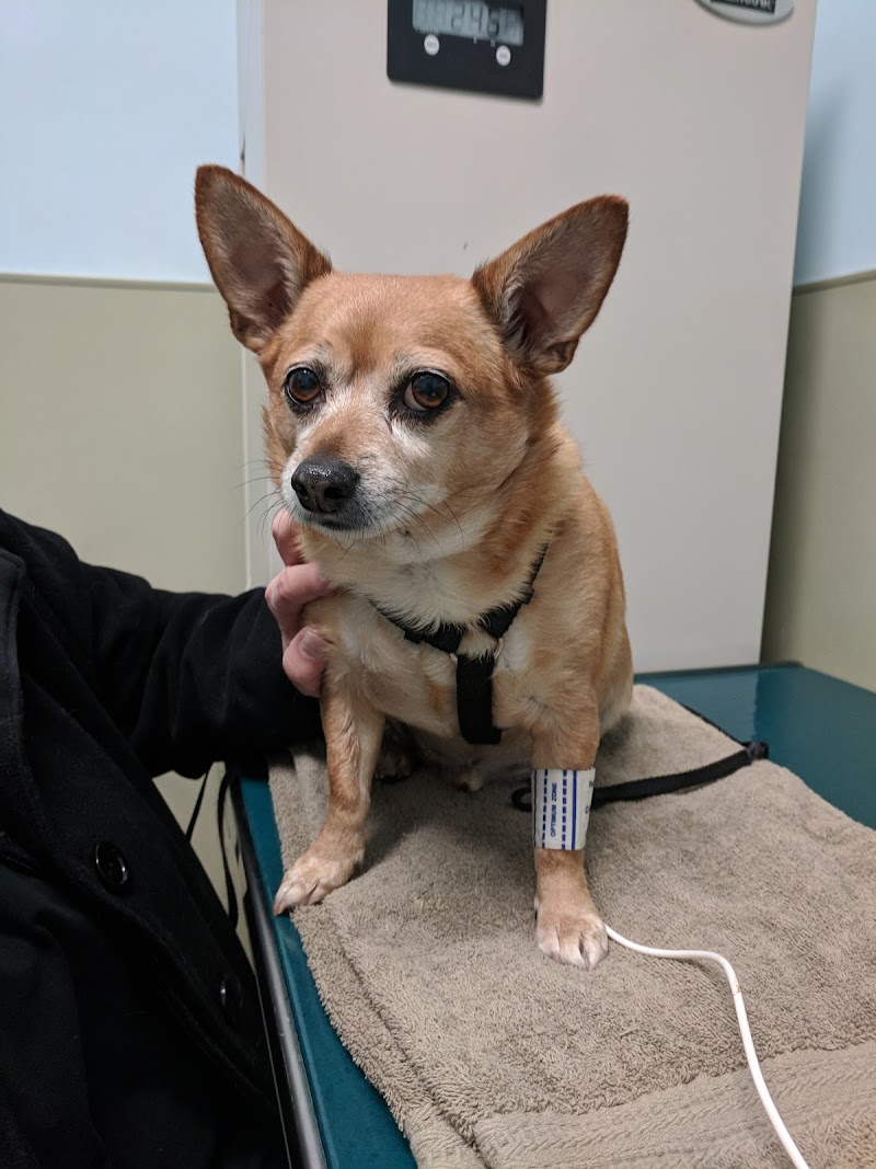 Riverside Veterinary Care on Columbus