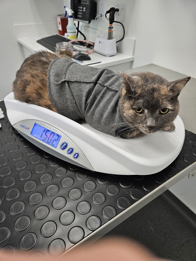 Riverside Veterinary Care on Columbus