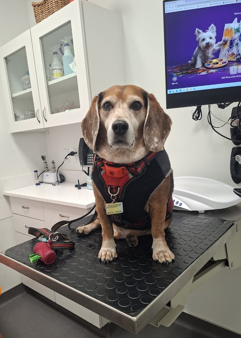 Riverside Veterinary Care on Columbus