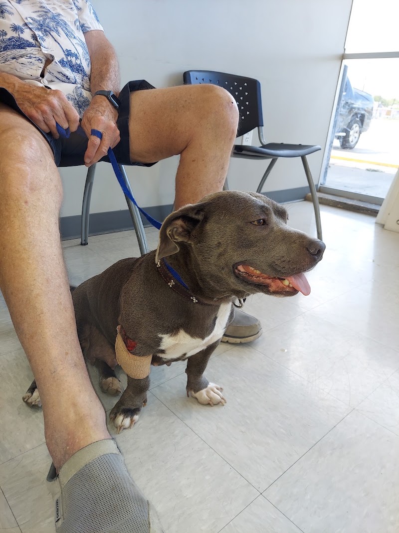 Blue Cross Pet Clinic