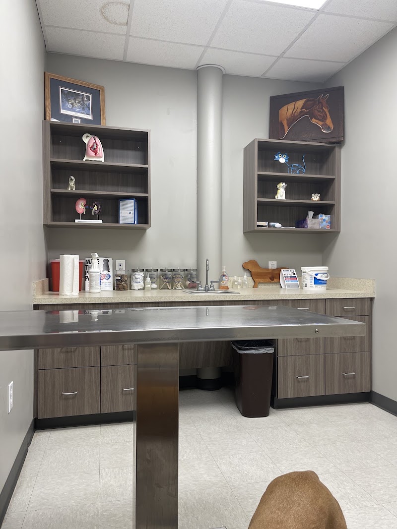 Blue Cross Pet Clinic