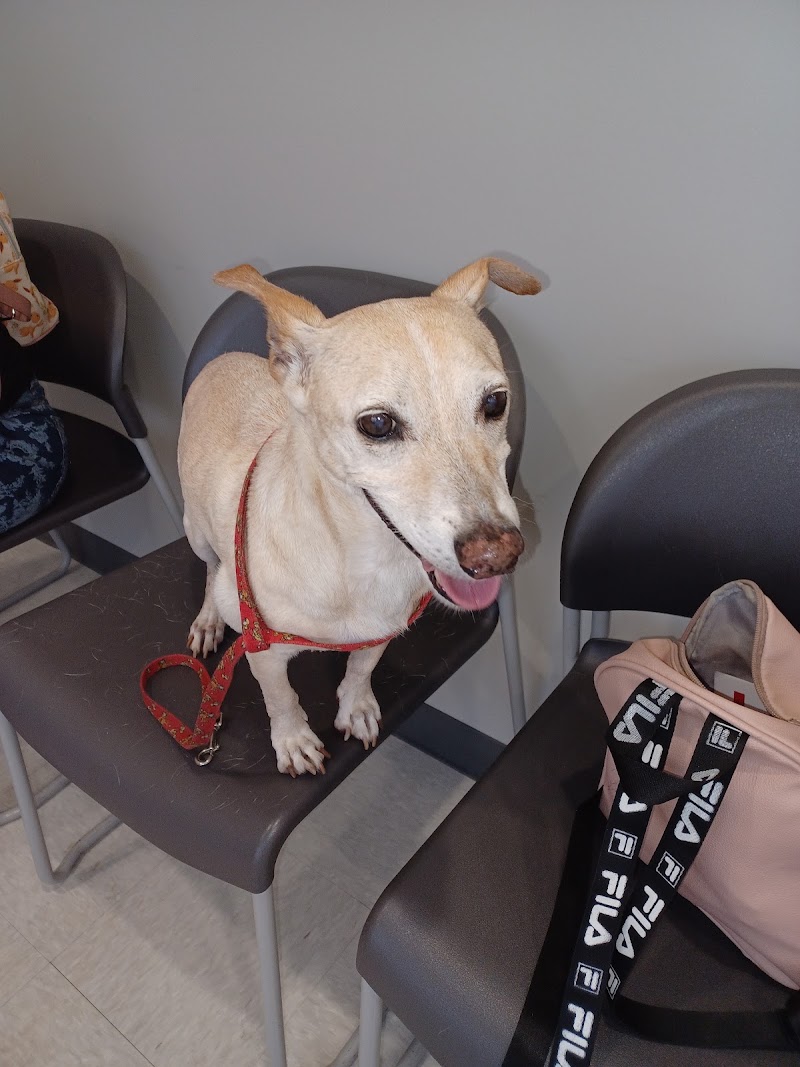 Blue Cross Pet Clinic