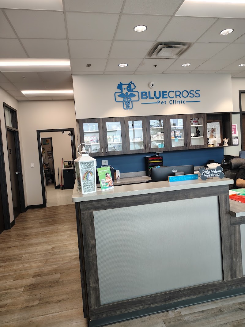 Blue Cross Pet Clinic