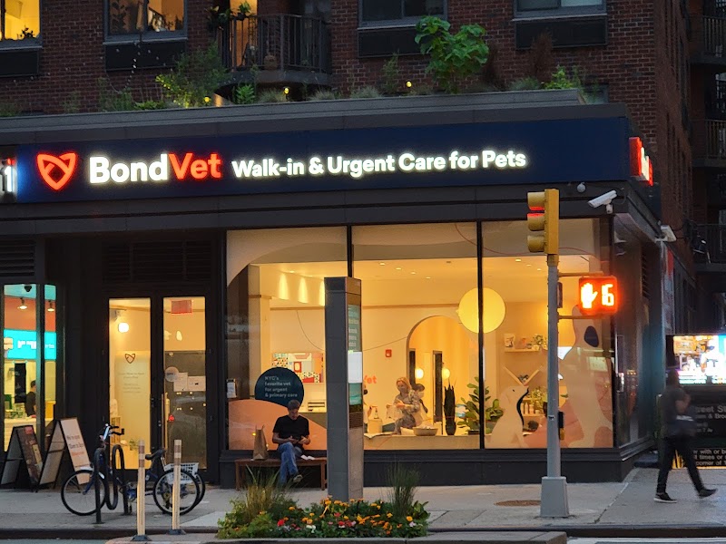 Bond Vet - Chelsea