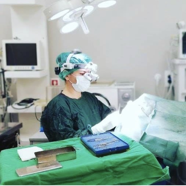 Balmesvet Veterinaris Hospital 24h