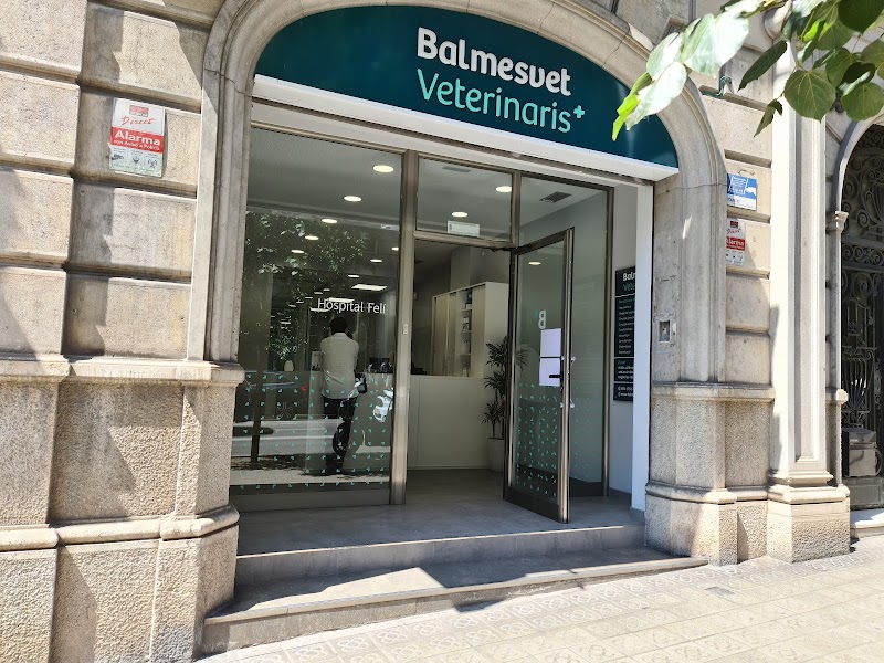 Balmesvet Veterinaris Hospital 24h
