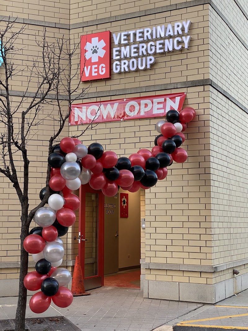 Veterinary Emergency Group