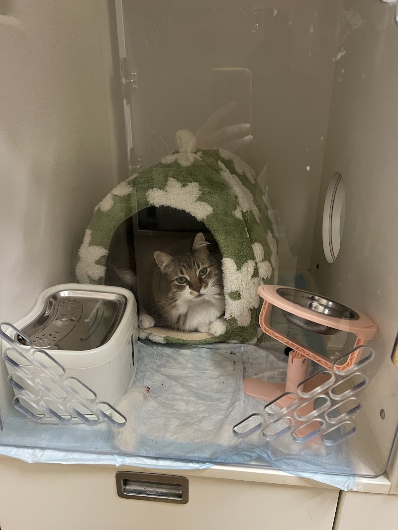 Sage Veterinary Imaging - Round Rock