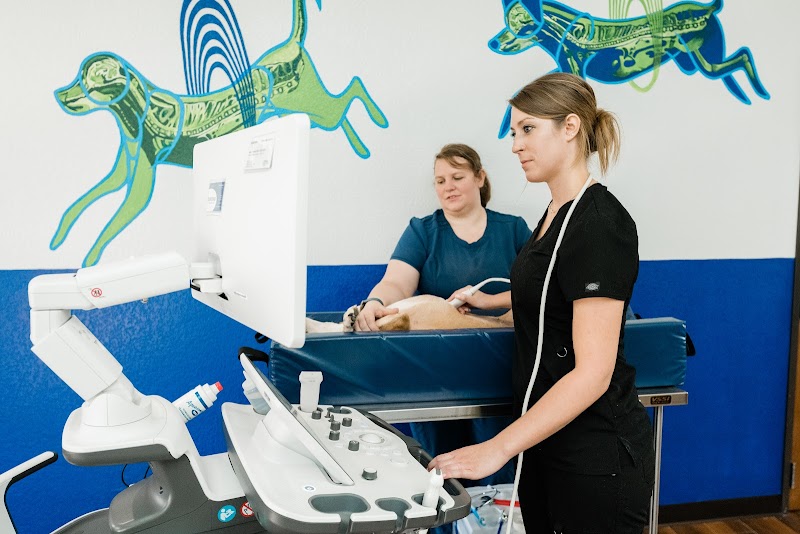Sage Veterinary Imaging - Round Rock